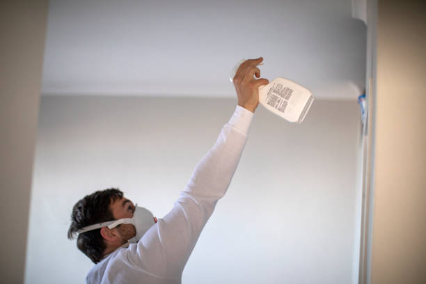 Best Home Mold Removal  in Fairfax, SC