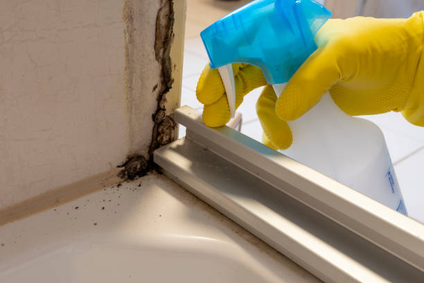 Water Damage Restoration in Fairfax, SC