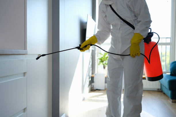 Best Mold Remediation  in Fairfax, SC
