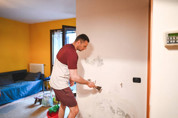 Best Toxic Mold Removal  in Fairfax, SC